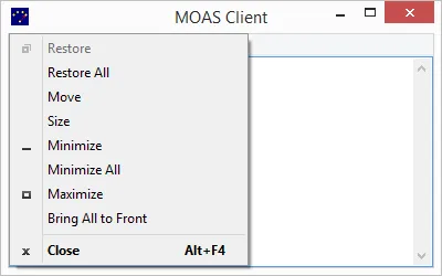 System menu with additional entries